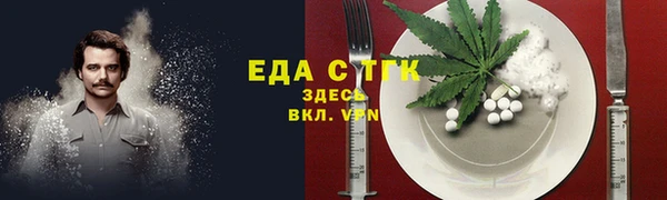 индика Каменногорск