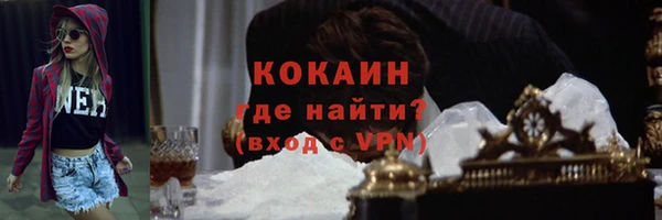 ПСИЛОЦИБИНОВЫЕ ГРИБЫ Касимов