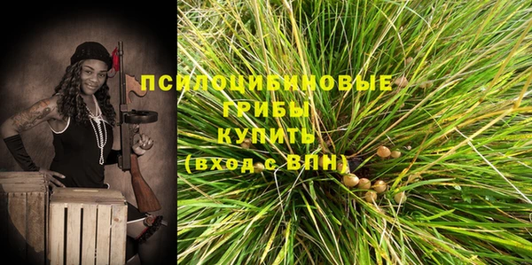 ПСИЛОЦИБИНОВЫЕ ГРИБЫ Касимов