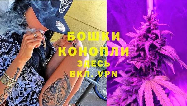 ПСИЛОЦИБИНОВЫЕ ГРИБЫ Касимов