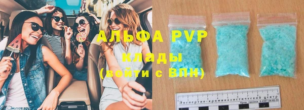 ПСИЛОЦИБИНОВЫЕ ГРИБЫ Касимов